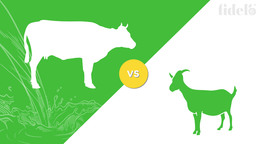 Cow Milk vs Goat Milk